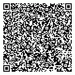 vCard 79107031539