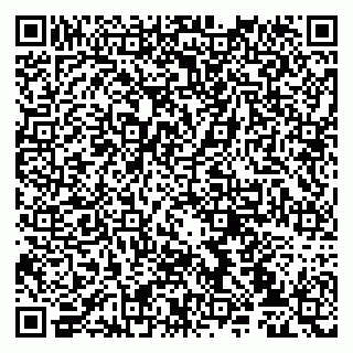 vCard 79107032039