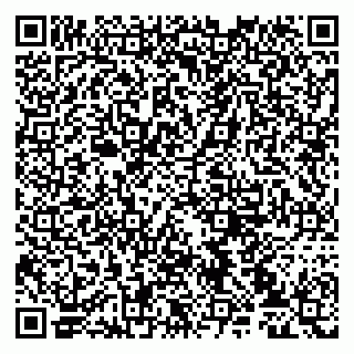 vCard 79107038380