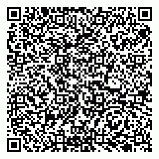 vCard 79107300225