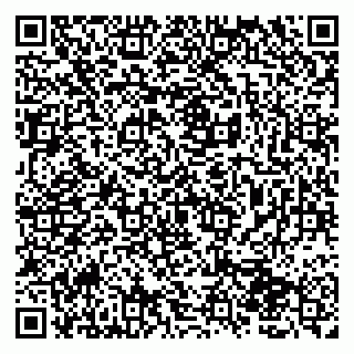 vCard 79107300389