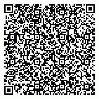 vCard 79110400001
