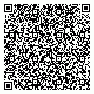 vCard 79110400002