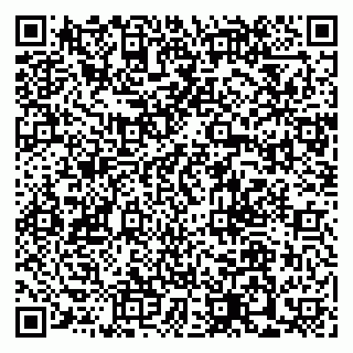 vCard 79110400003