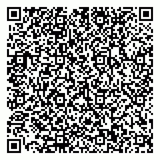 vCard 79110400004