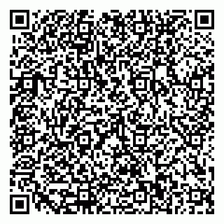 vCard 79110400005
