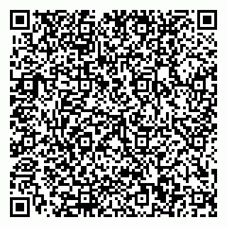 vCard 79110400008
