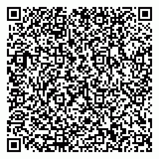 vCard 79110400010