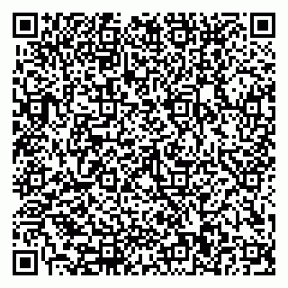vCard 79110400011