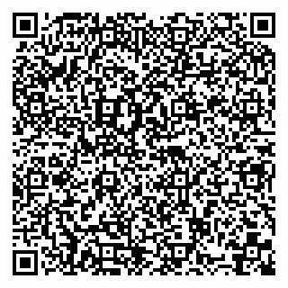 vCard 79110400013