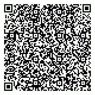 vCard 79110400029