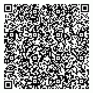 vCard 79110400031