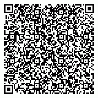 vCard 79110400032