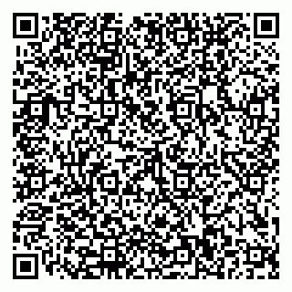 vCard 79110400033