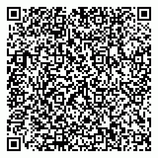 vCard 79110400035