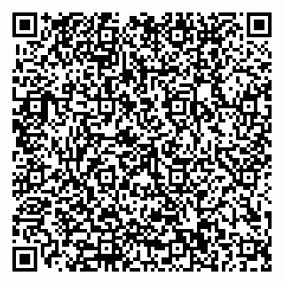 vCard 79110400037