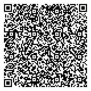 vCard 79110400038