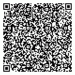 vCard 79110400039
