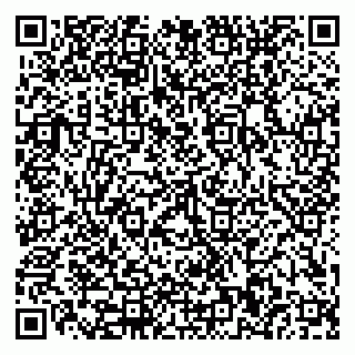 vCard 79110400040