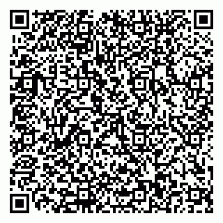 vCard 79110400051