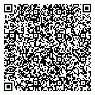 vCard 79110400053
