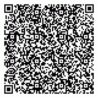 vCard 79110400065