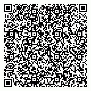 vCard 79110400070
