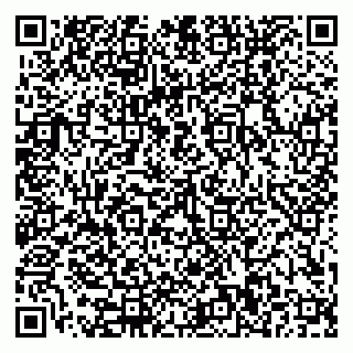 vCard 79110400073