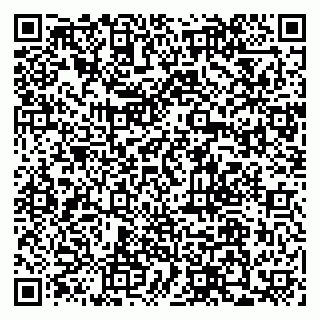 vCard 79110400081