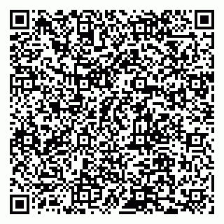 vCard 79110400085