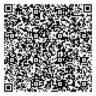 vCard 79110400093