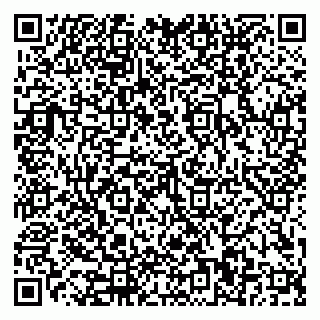 vCard 79110400099