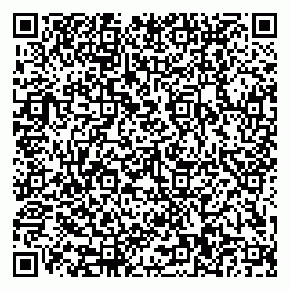 vCard 79110400101