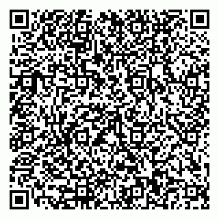 vCard 79110400121