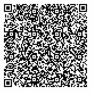 vCard 79110400131