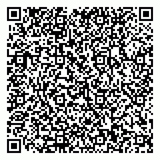 vCard 79110400132