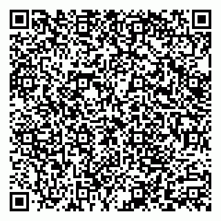 vCard 79110400133