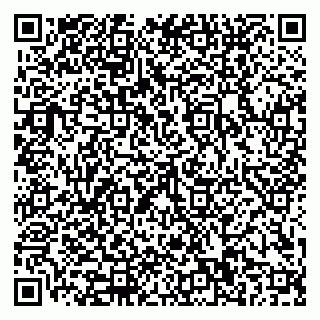 vCard 79110400137