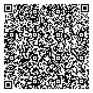 vCard 79110400138