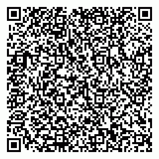 vCard 79110400141