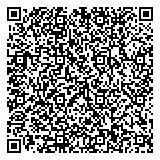 vCard 79110400151