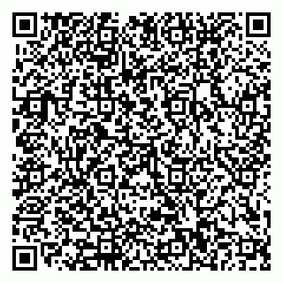 vCard 79110400153