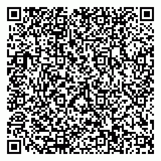 vCard 79110400155