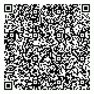 vCard 79110400161