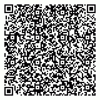vCard 79110400167
