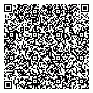 vCard 79110400171