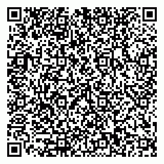 vCard 79110400173
