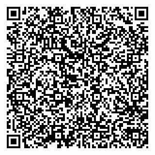 vCard 79110400174
