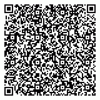 vCard 79110400176