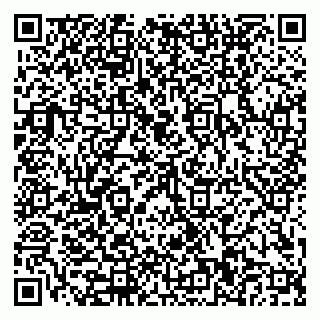 vCard 79110400181